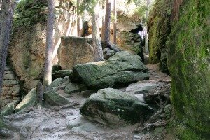 Toulovcovy ma�tale