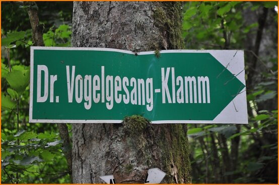 Dr. Vogelgesang-Klamm