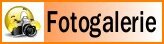 fogalerie fogalerie