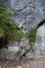 N�stup do fer�ty