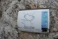 Pl�nek