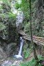 Dr. Vogelgesang-Klamm
