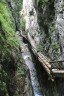 Dr. Vogelgesang-Klamm